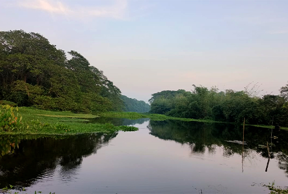 River Scene